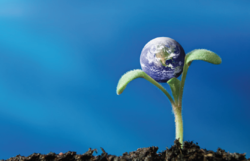 Green Management